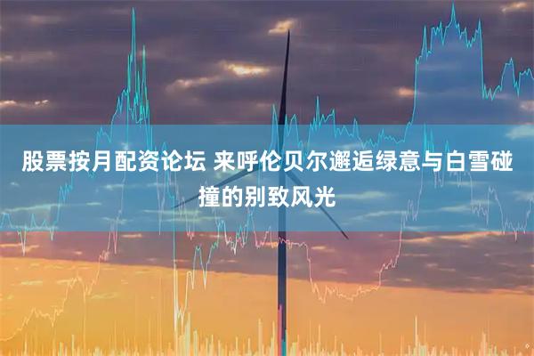 股票按月配资论坛 来呼伦贝尔邂逅绿意与白雪碰撞的别致风光